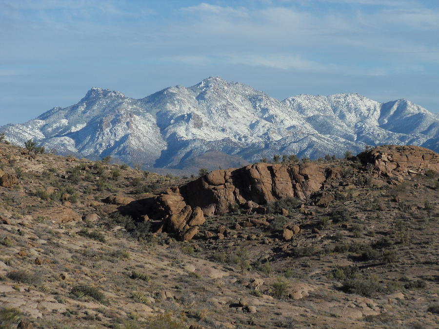 Unique Photograph - Winter In The  Mohave Desert by James Welch