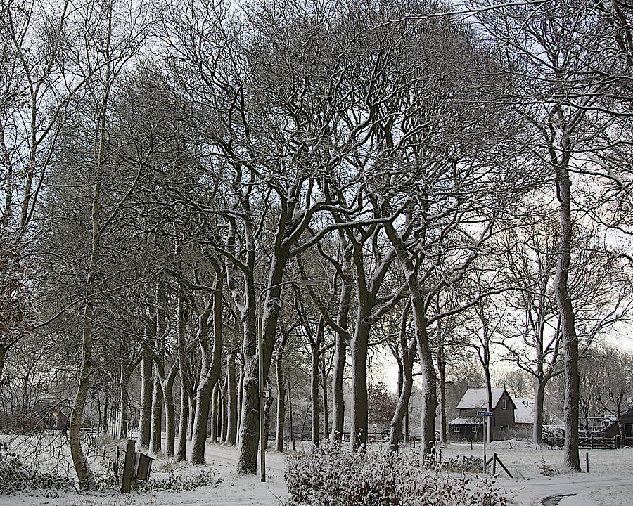Winter Photograph - Winter in the Netherlands by Robert Van Es
