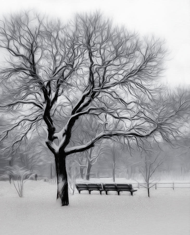 Winter Digital Art - Winter in the Park by Nina Bradica