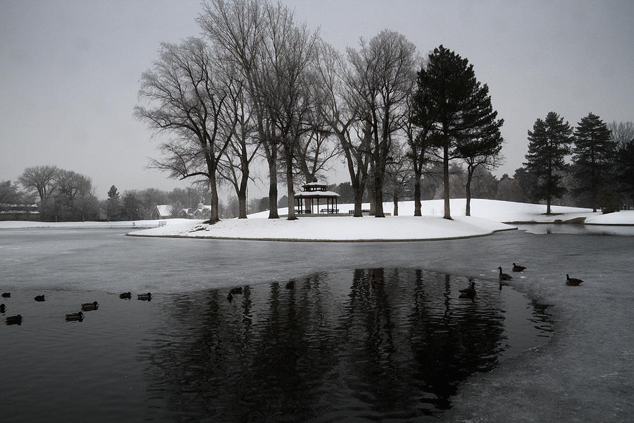 Winter in the Park Photograph by Douglas Pulsipher