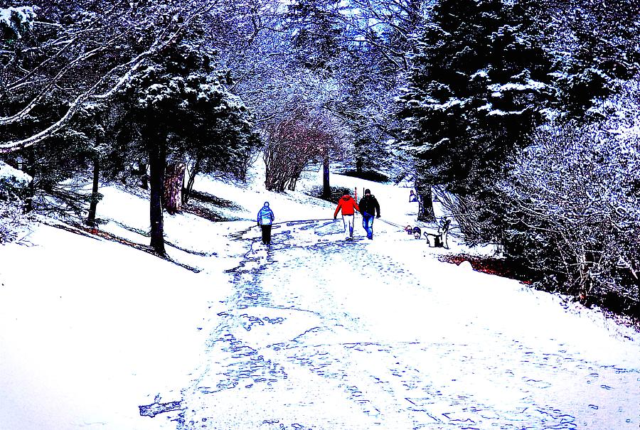 Winter Photograph - Winter In The Park by Zinvolle Art