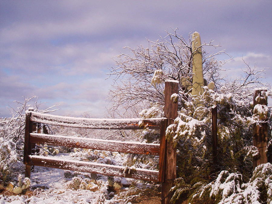 Winter In The West Photograph by David S Reynolds