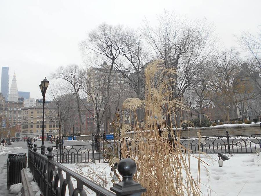 New York City Photograph - Winter in Union Square by Carolyn Quinn