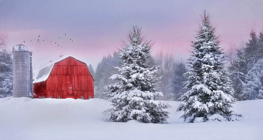 Winter in Upstate NY Photograph by Lori Deiter