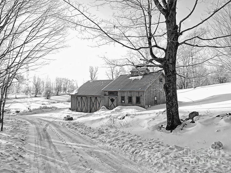 Winter In Vermont Photograph by Marcia Lee Jones