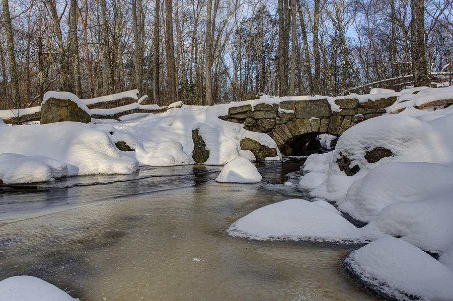 Winter in Weetamoo Woods Photograph by Andrew Pacheco