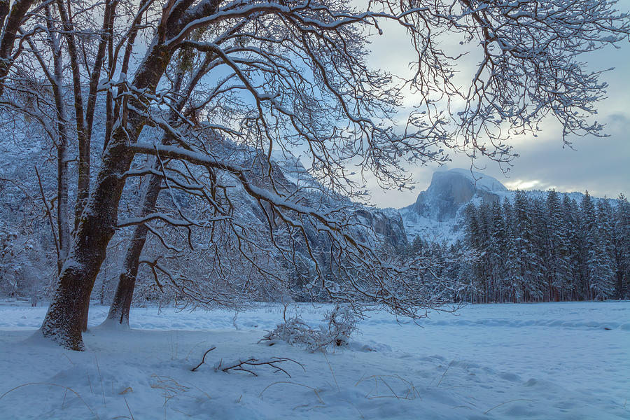 Winter in Yosemite Photograph by Jonathan Nguyen