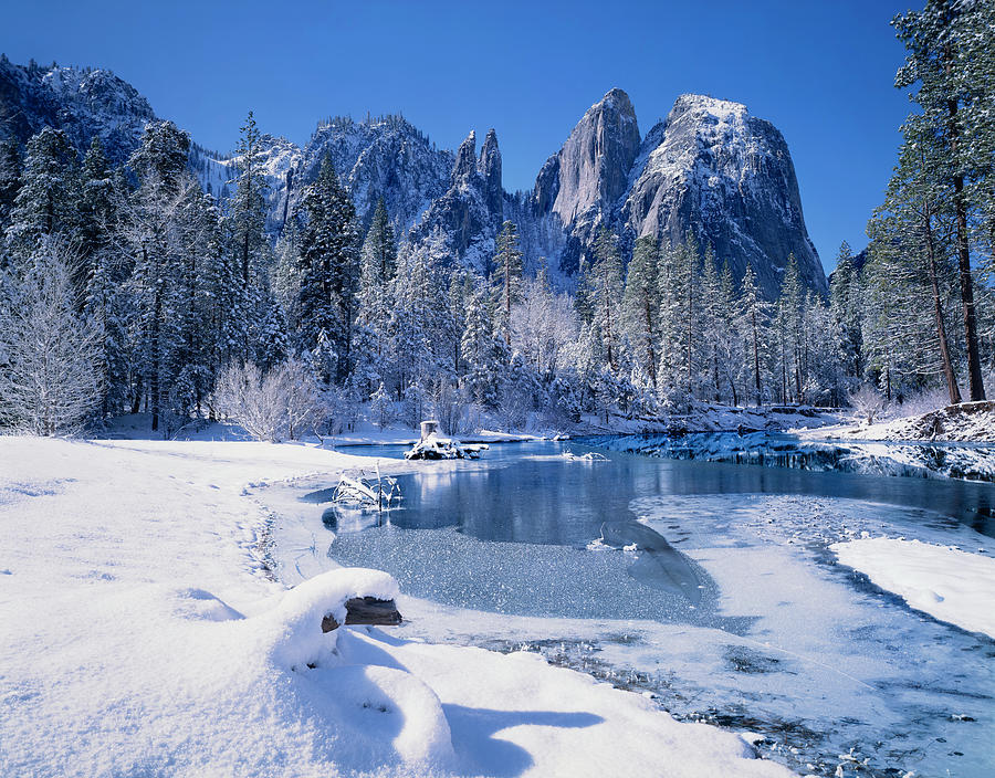 Winter In Yosemite National Park Photograph by Ron thomas