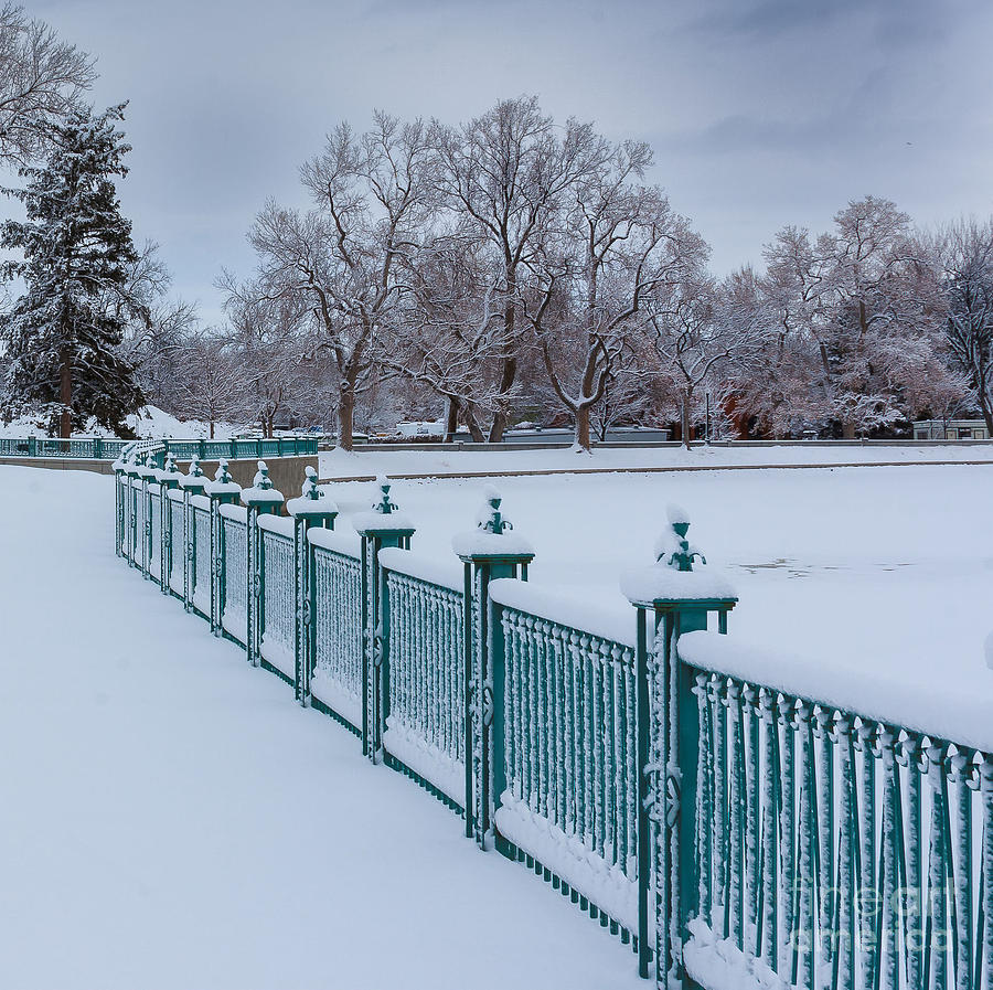 Winter Iron Fence Photograph by Steven Reed