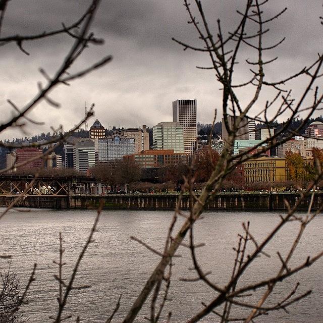 Winter Is Near For Downtown Portland Photograph by Mike Warner