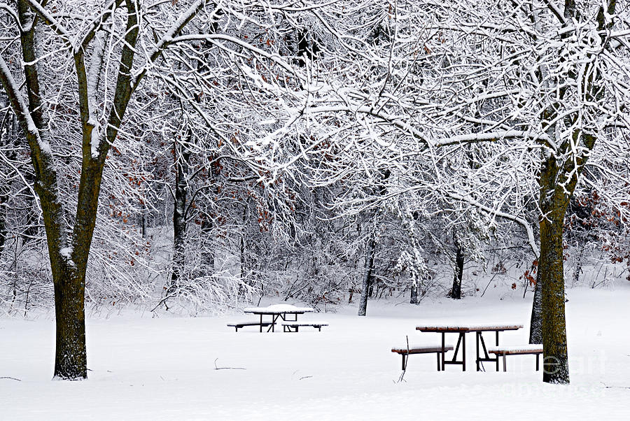 Winter is No Picnic Photograph by Larry Ricker
