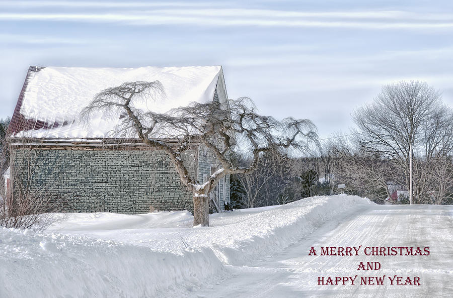 Winter Is Our Guest Christmas Card Photograph by Richard Bean
