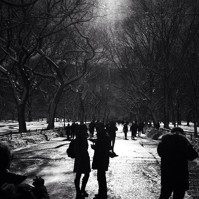 Central Park Photograph - Winter by Jason Furr