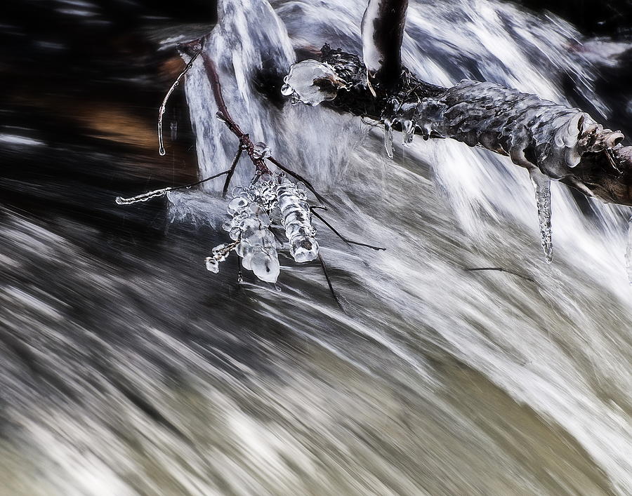 Winter Jewels II Photograph by Alan Norsworthy