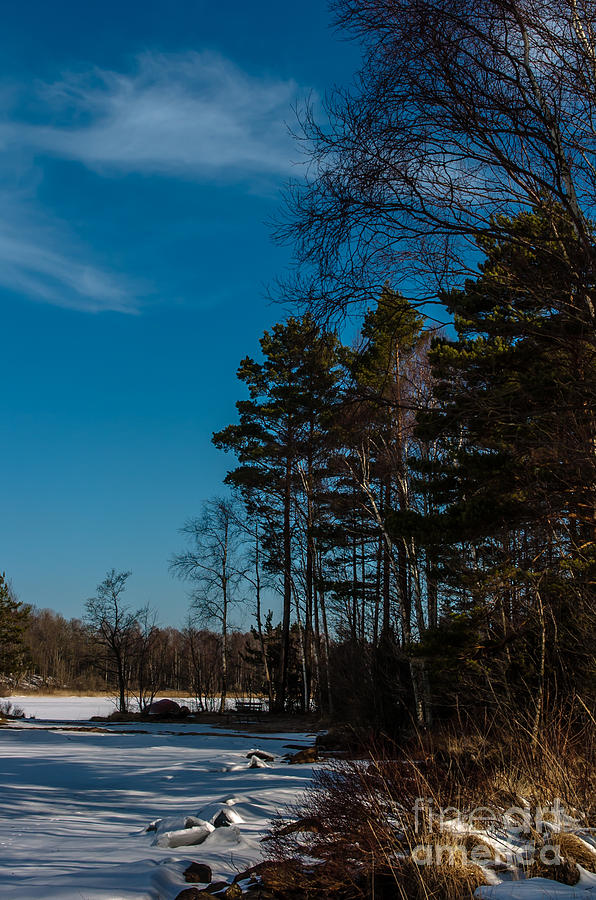 Winter Photograph by Jorgen Norgaard