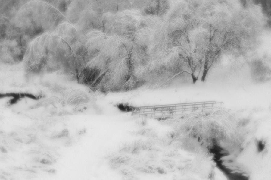 Winter Photograph - Winter by Kirill Puchkov