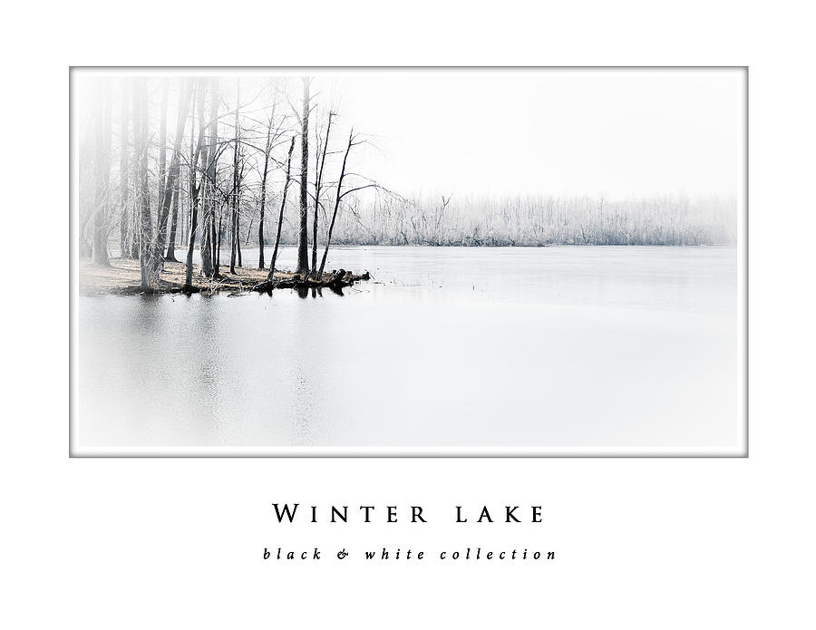 Winter Lake  black and white collection Photograph by Greg Jackson