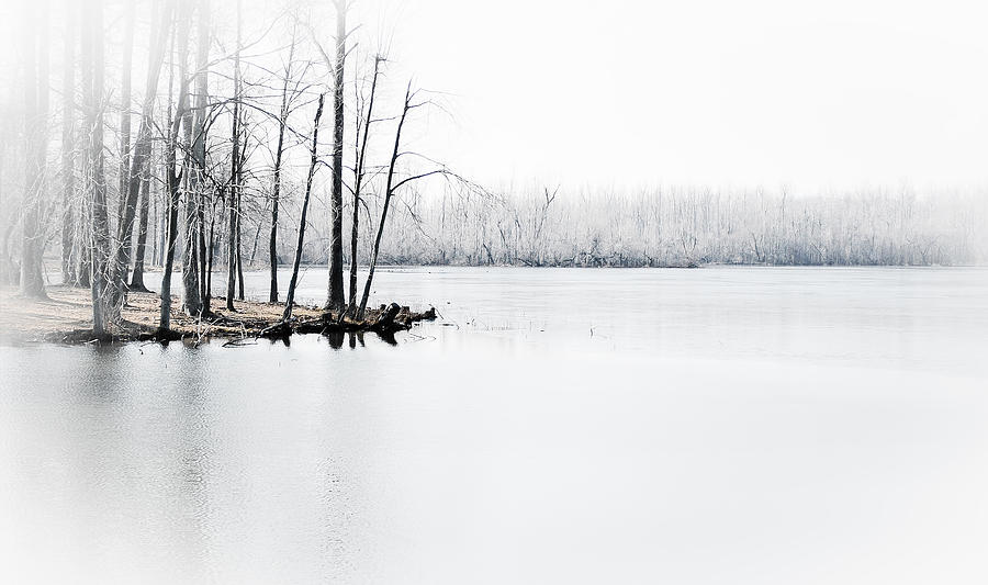 Winter Lake Photograph by Greg Jackson