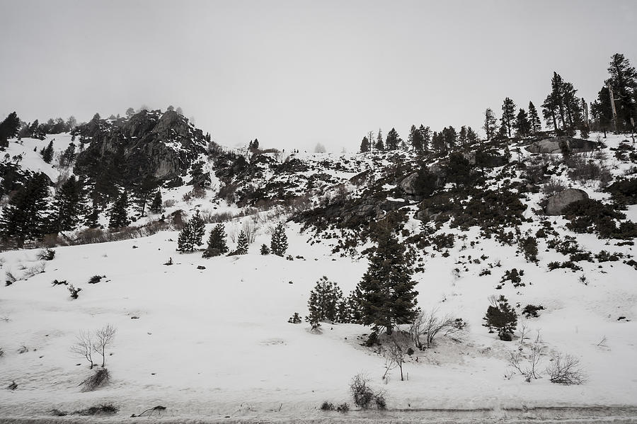 Nature Photograph - Winter Land by Sean OCairde