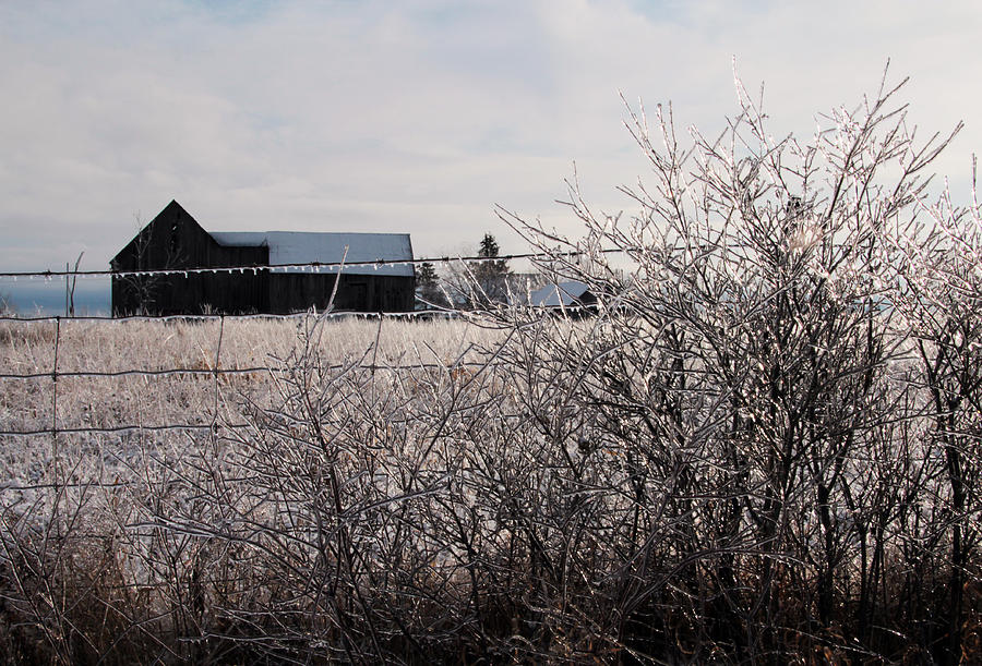 Winter Landscape 16 Photograph by Jim Vance