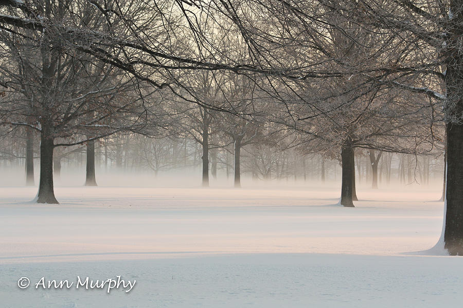 Winter Landscape Photograph by Ann Murphy