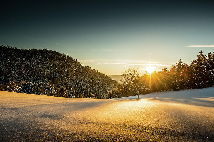 Winter Landscape At Sunset Photograph by Mmac72
