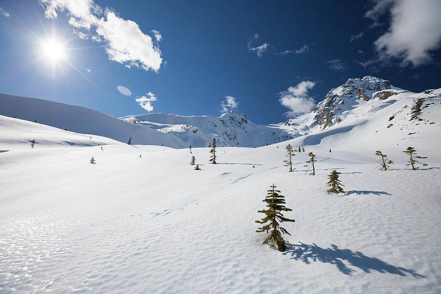 Winter Landscape Below Joffre Peak Photograph by Christopher Kimmel ...