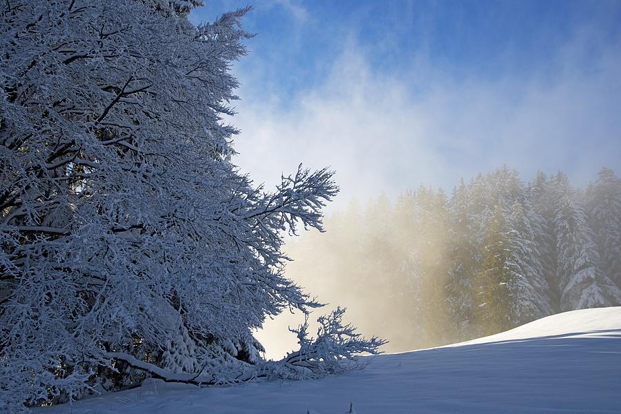 Winter Landscape Photograph by Chevy Fleet