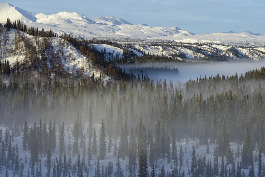 Winter Photograph - Winter Landscape by Christian Heeb