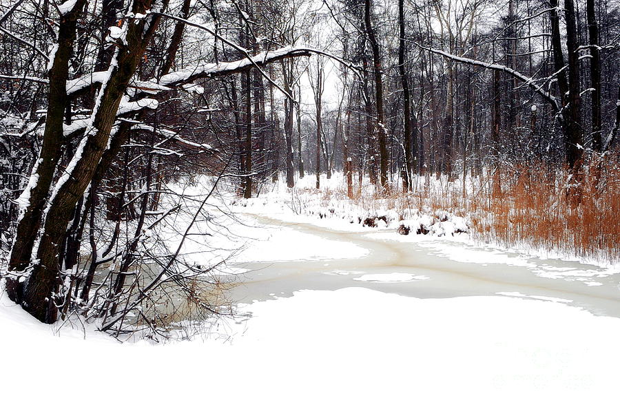 Winter Landscape Photograph by Dariusz Gudowicz
