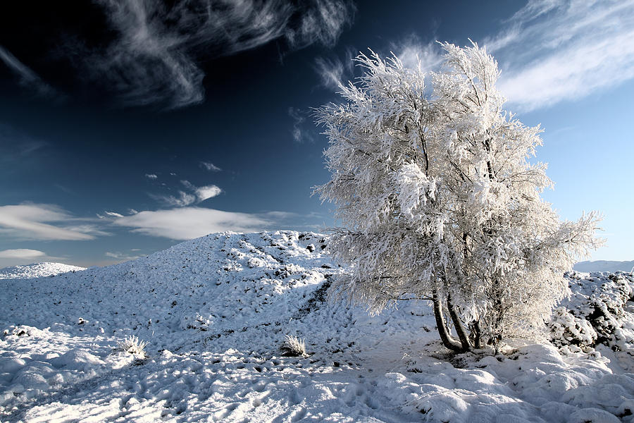 Snow Scene Photograph - Winter Landscape by Grant Glendinning