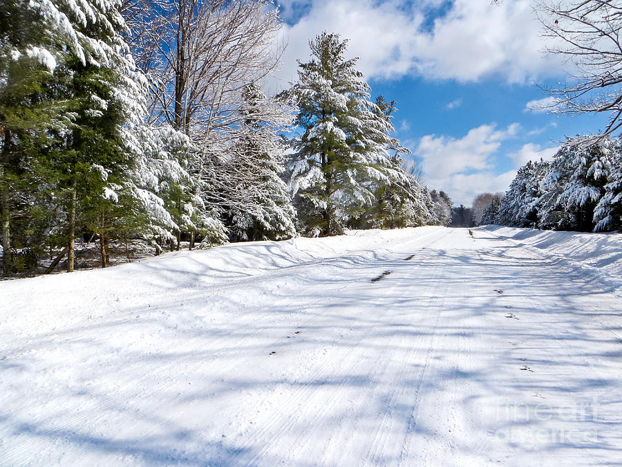 Winter Landscape Photograph by Gwen Gibson