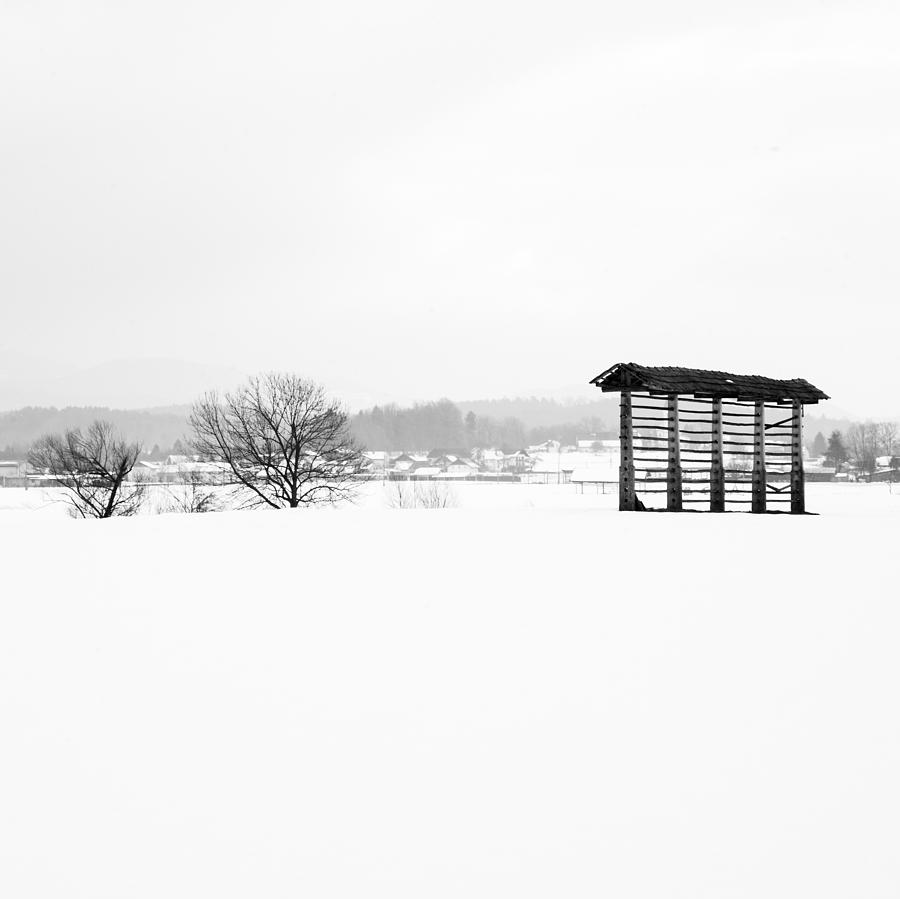 Winter landscape in black and white Photograph by Ian Middleton