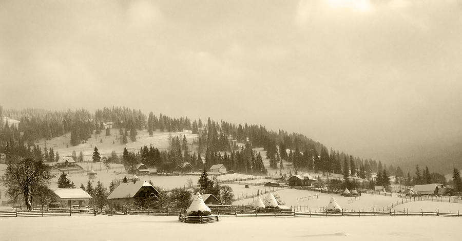 Winter landscape in sepia tone Photograph by Vlad Baciu