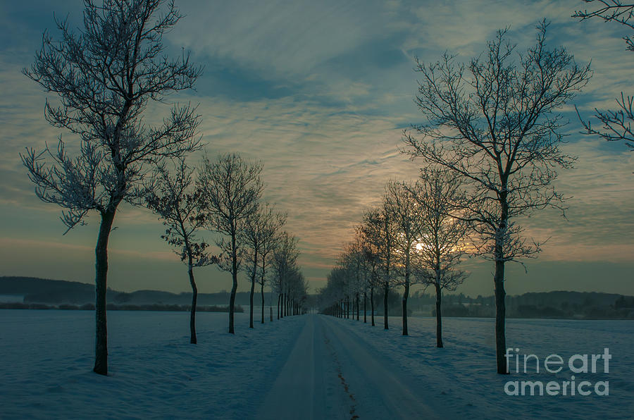 Winter landscape Photograph by Jorgen Norgaard