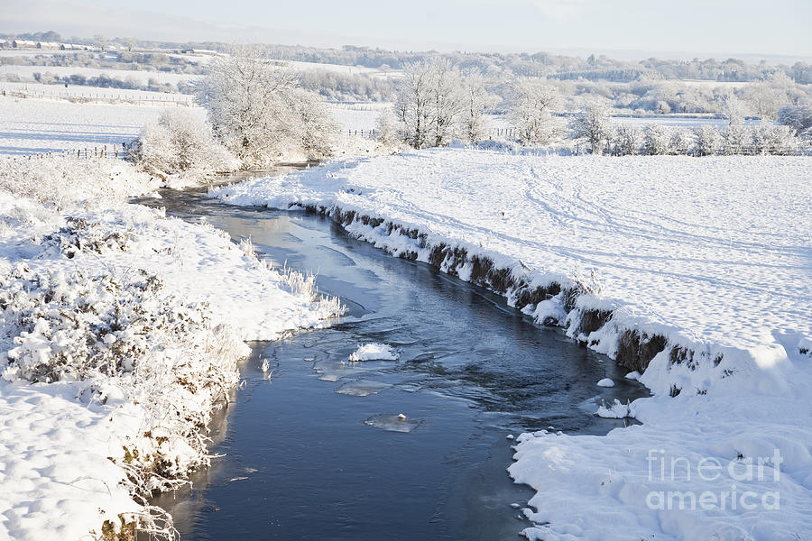 Winter landscape Photograph by Liz Leyden