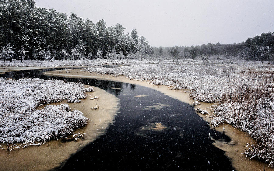 Winter Landscape Photograph by Louis Dallara