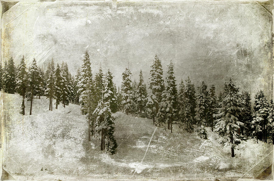 Winter Landscape Photograph by Marilyn Wilson
