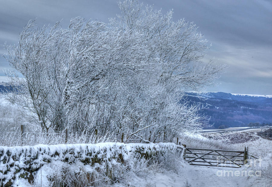 Winter Landscape near Buxton Photograph by David Birchall
