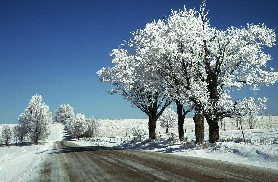 Winter Landscape Ontario Canada Photograph by Jim Wallace