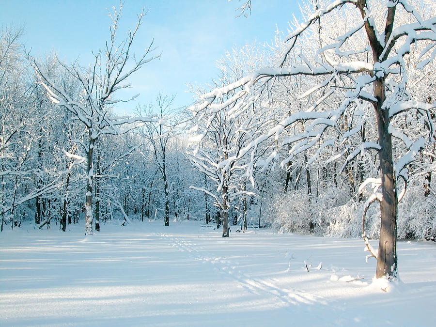 Winter Landscape Ottawa Photograph by Rob Huntley
