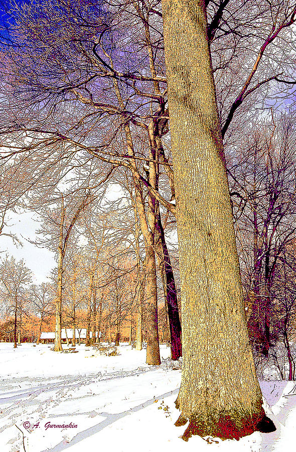 Winter Digital Art - Winter Landscape Pennypacl Park Philadelphia Pennsylvania by A Macarthur Gurmankin