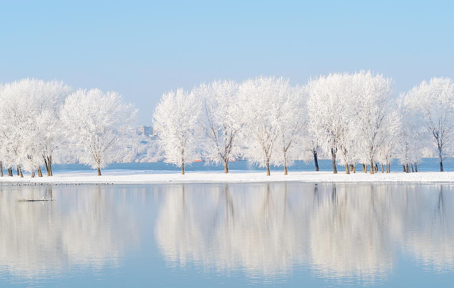 Winter Landscape With Beautiful Reflection In The Water Photograph by Bereta