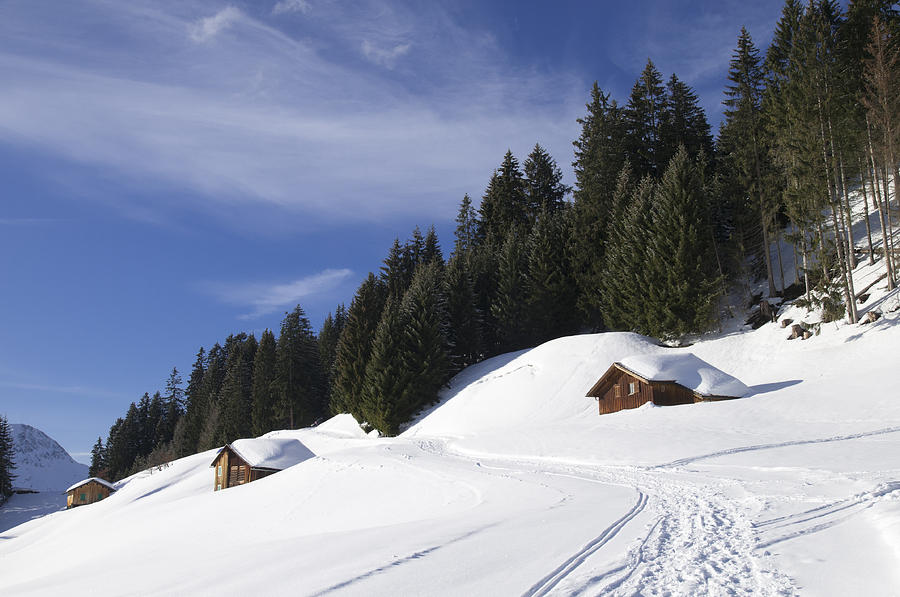 Winter landscape with trees and houses in Austria Photograph by Matthias Hauser