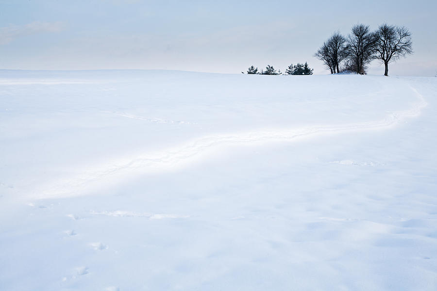 Winter Landscapes Photograph by Ian Middleton