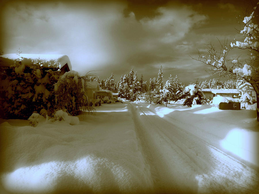 Winter Lane Photograph by Micki Findlay