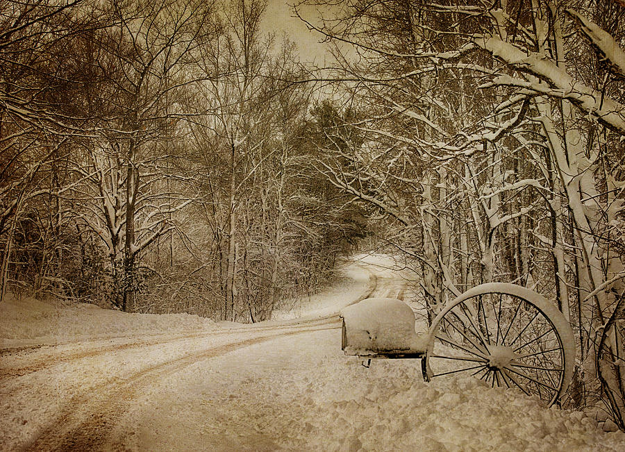 Winter Lane Photograph by Paul Freidlund
