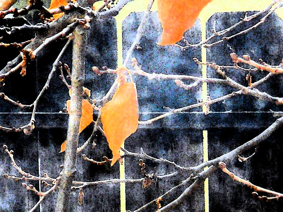 Winter Leaves And Fence Digital Art by Eric Forster