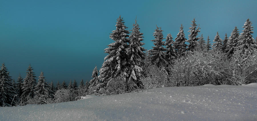 Winter Light Photograph by Tore Thiis Fjeld