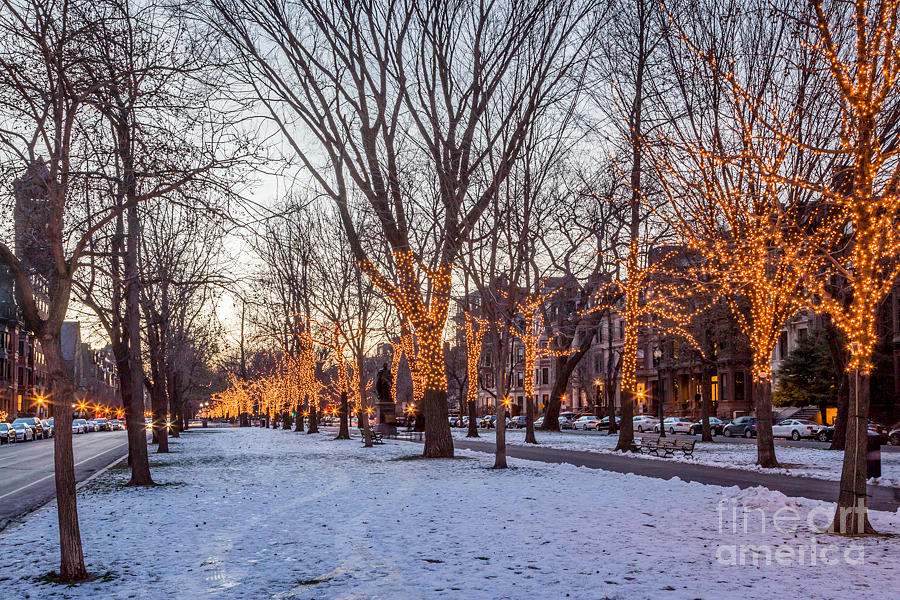 Winter lights on Commonwealth Avenue Photograph by Susan Cole Kelly